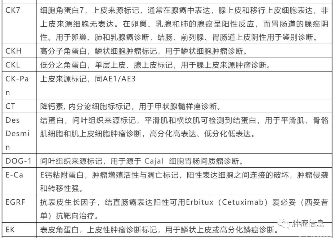 临床常用免疫组化标记物解读