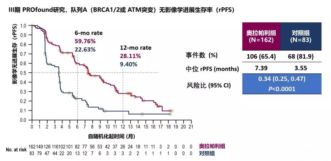 程玺教授卵巢癌患者基因检测策略从brca到hrd
