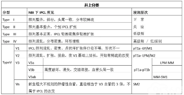 早期食管癌诊断基础