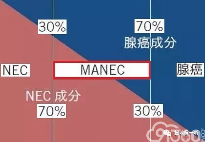 医学美图:胃神经内分泌肿瘤的前世今生