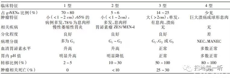 医学美图:胃神经内分泌肿瘤的前世今生