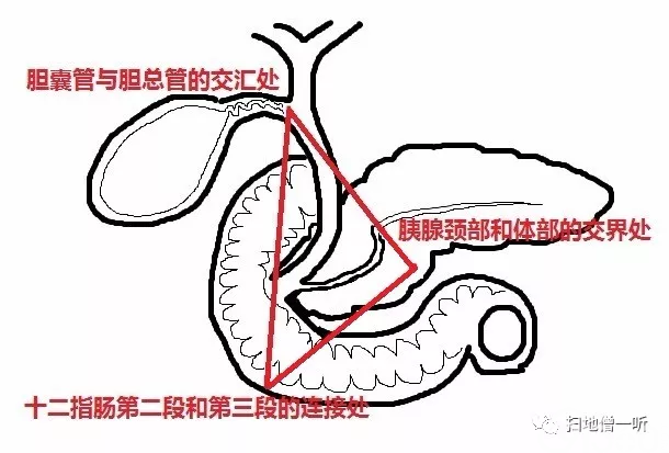 医学美图:胃神经内分泌肿瘤的前世今生