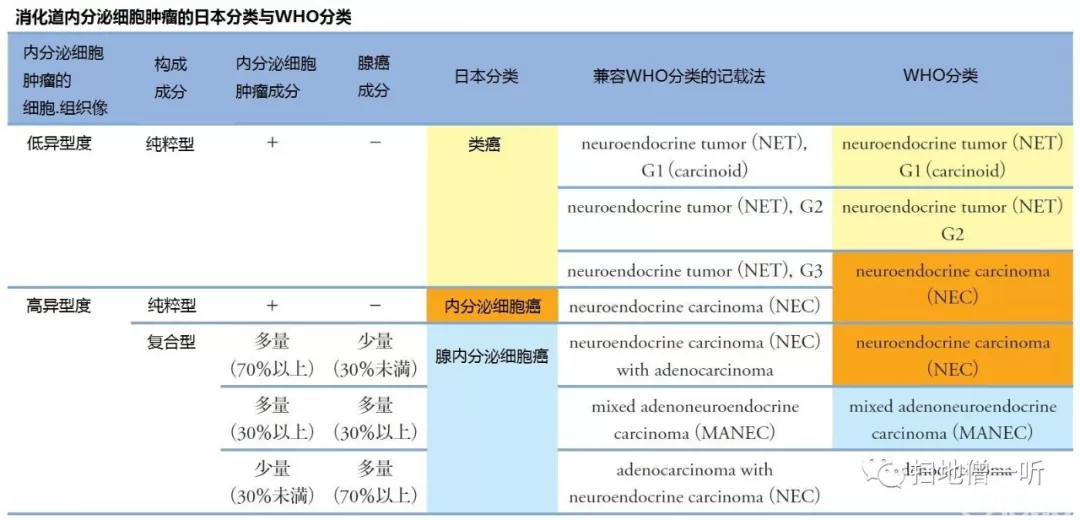 医学美图:胃神经内分泌肿瘤的前世今生