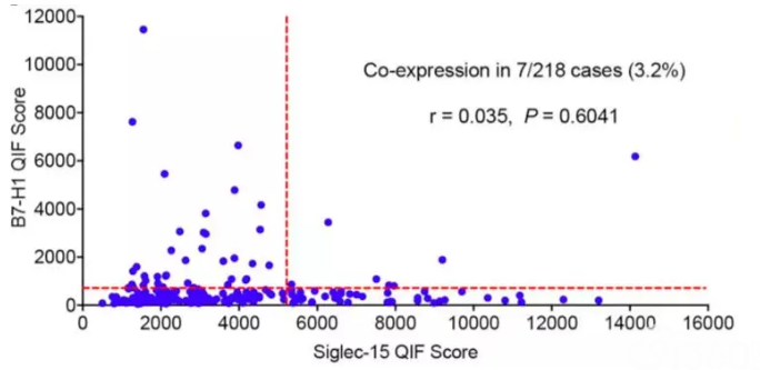 图5:Siglec-15与B7-H1的表达相关性分析