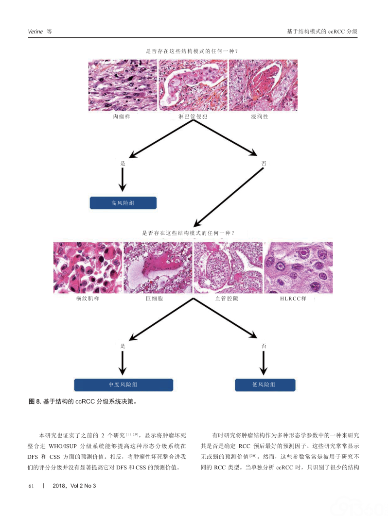 结构模式是透明细胞肾细胞癌预后评估的一种相关形态分级系统