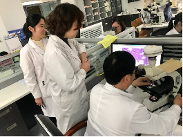 病理标本4-7日的变身之旅……
