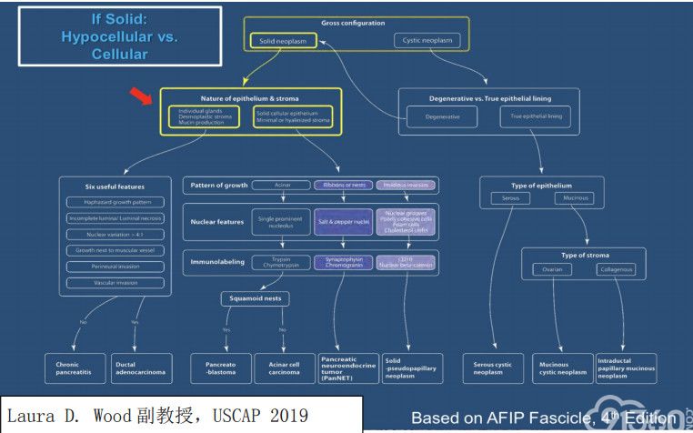 USCAP 2019 消化系统病变主要内容总结