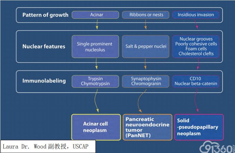 USCAP 2019 消化系统病变主要内容总结