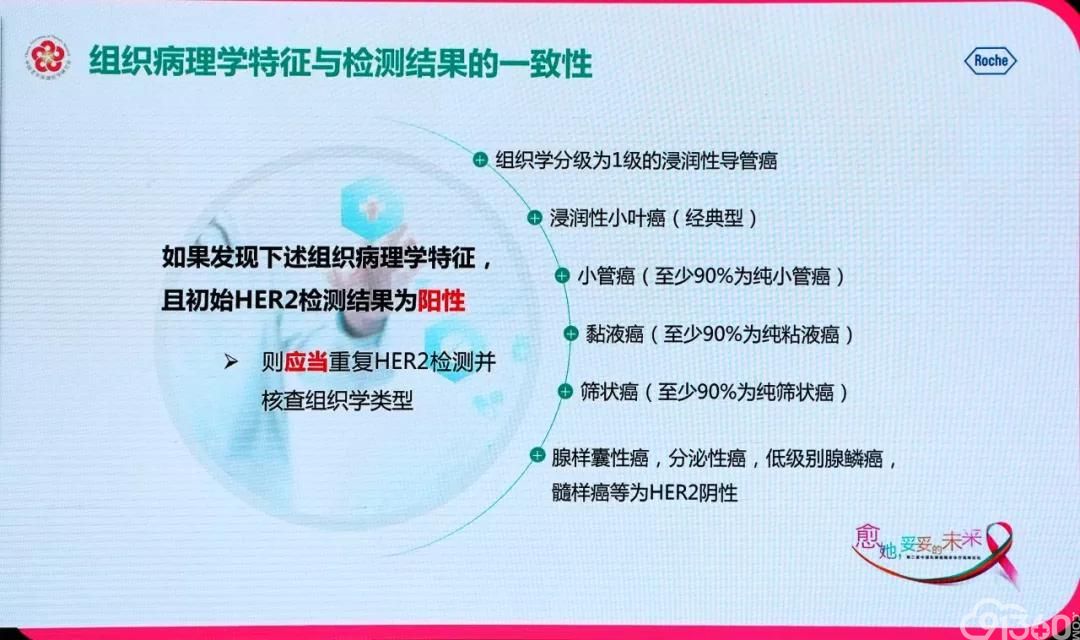 杨文涛教授解读