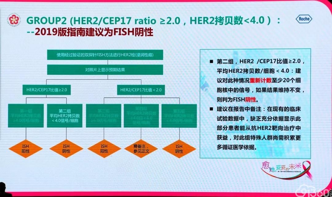 杨文涛教授解读