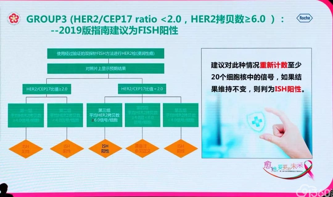 杨文涛教授解读