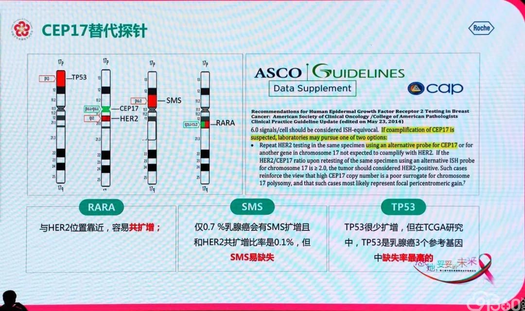 杨文涛教授解读