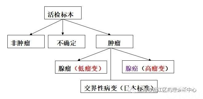 关于胃活检中几个诊断名词和概念的理解