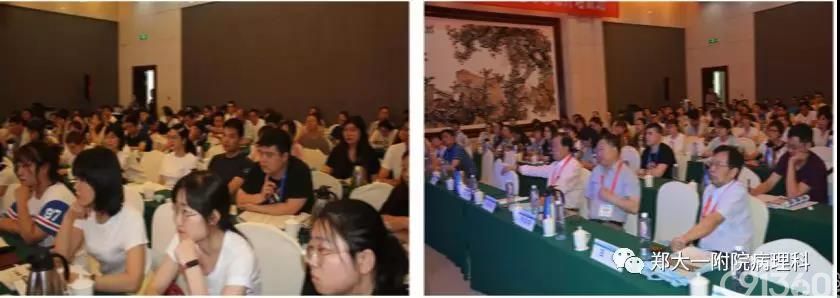 2019年河南省病理技术研讨会暨冷冻切片培训班会议纪要