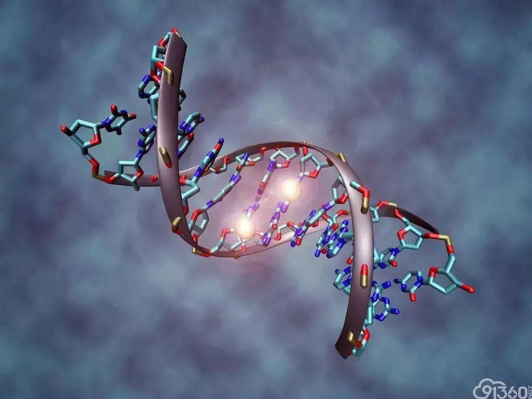 2019 DNA甲基化研究及临床应用新动态
