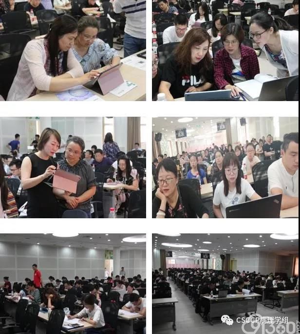 CSCCP2019年第12期宫颈细胞病理学规范化系统培训班(东区- 南京站)成功举办