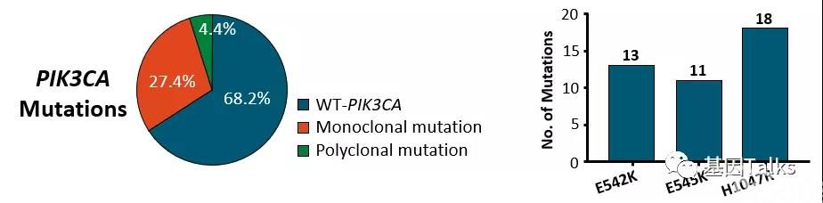 乳腺癌丨PIK3CA写入最新乳腺癌2019 NCCN V.2指南,还不了解一下?