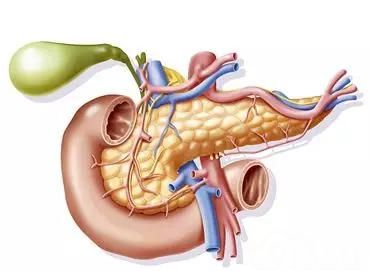 上海发布:大肠癌、肺癌、乳腺癌、肝癌、胃癌、甲状腺癌等14种恶性肿瘤筛查与预防指南