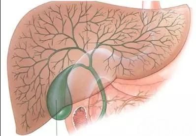 上海发布:大肠癌、肺癌、乳腺癌、肝癌、胃癌、甲状腺癌等14种恶性肿瘤筛查与预防指南