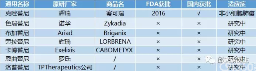 史上最全靶向治疗及免疫治疗大盘点和免费药物大放送