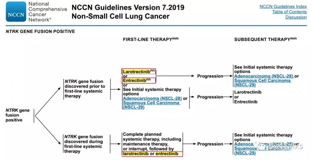 听会笔记 丨针对trk融合阳性肿瘤的靶向治疗