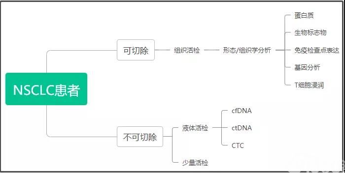 全面分析:肺癌EGFR基因突变如何选择靶向药?