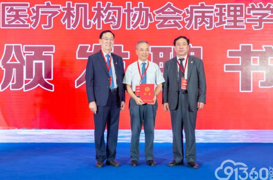 为主任委员颁发聘书
