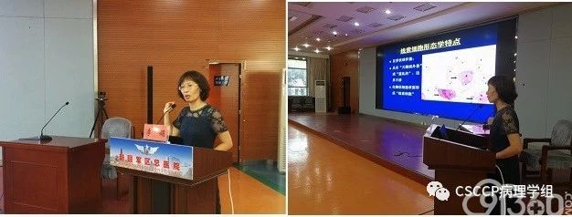 2019年第21期(西北区-新疆站)CSCCP宫颈细胞病理学规范化系统培训班成功举办