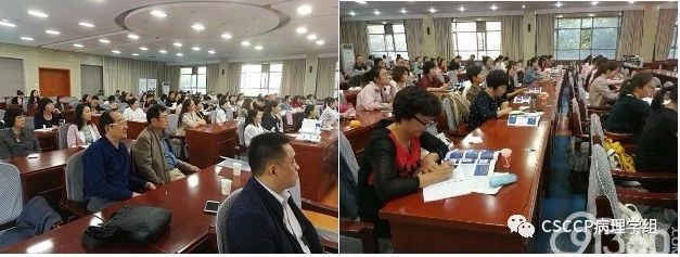 2019年第21期(西北区-新疆站)CSCCP宫颈细胞病理学规范化系统培训班成功举办