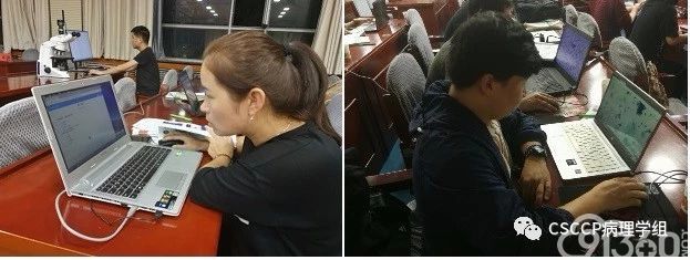 2019年第21期(西北区-新疆站)CSCCP宫颈细胞病理学规范化系统培训班成功举办