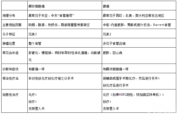 食管癌概述