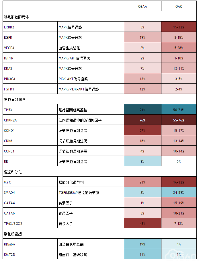 食管癌概述
