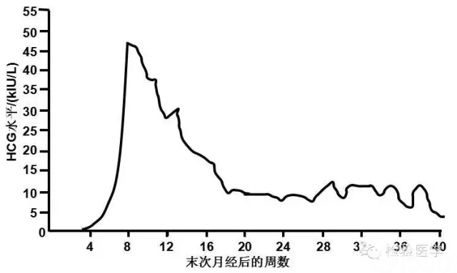 绒毛膜促性腺激素HCG