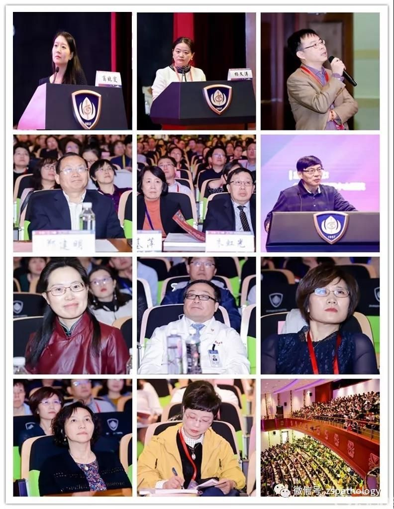 传道解惑显师者本色,交流共进谱杏林华章