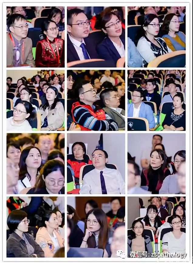 传道解惑显师者本色,交流共进谱杏林华章
