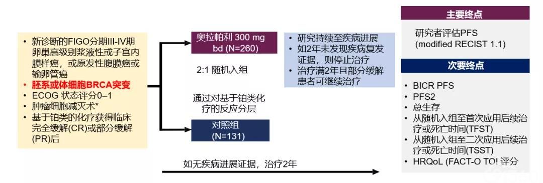 程玺教授:卵巢癌患者基因检测策略——从BRCA到HRD