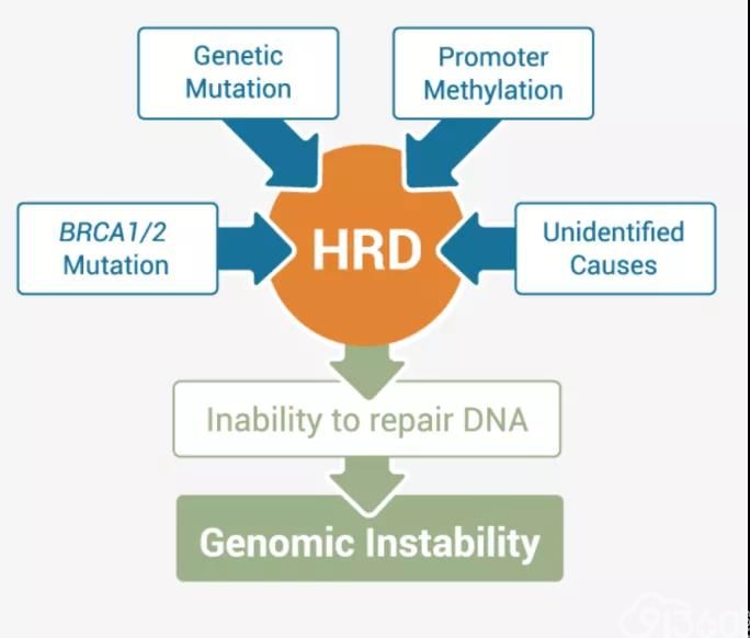 程玺教授:卵巢癌患者基因检测策略——从BRCA到HRD