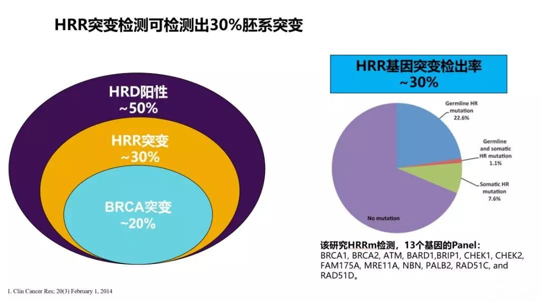 程玺教授:卵巢癌患者基因检测策略——从BRCA到HRD