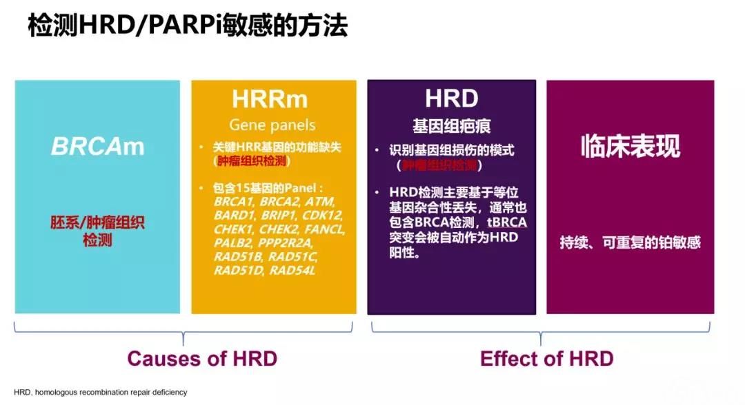 程玺教授:卵巢癌患者基因检测策略——从BRCA到HRD